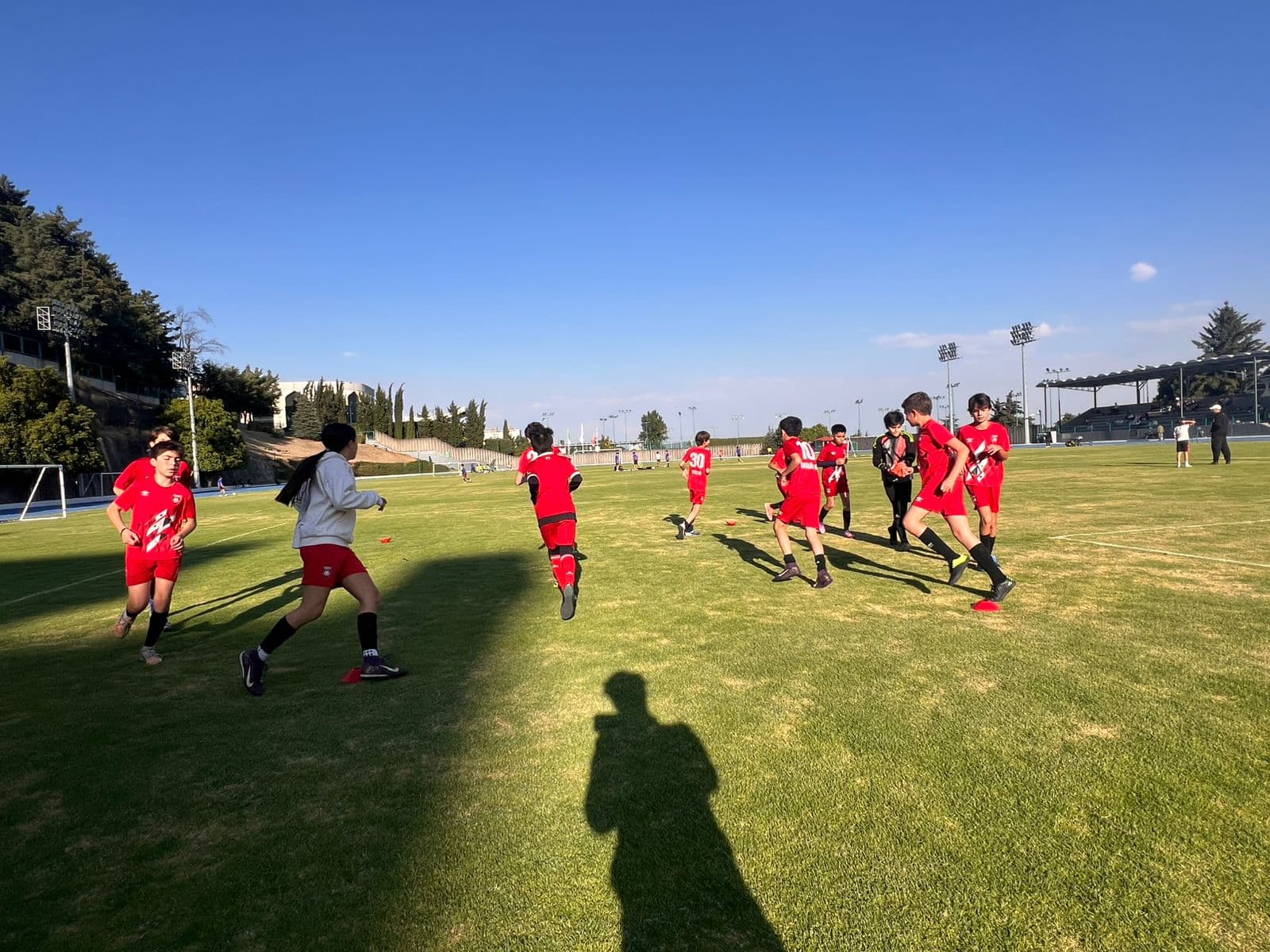 OPA match highlights